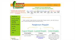 Desktop Screenshot of papaganoyuncaklari.com