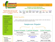 Tablet Screenshot of papaganoyuncaklari.com